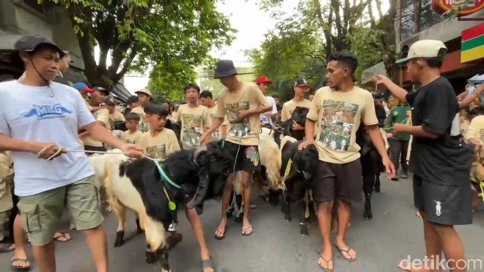 Arak-arakan hewan kurban tradisi warga Kota Malang