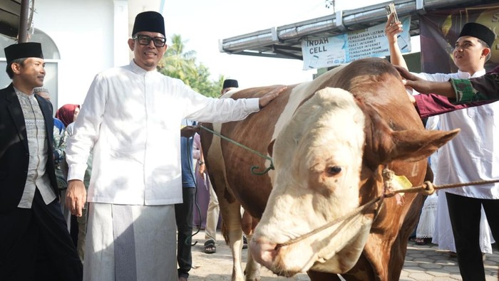 Bupati OKU Teddy menyerahkan sapi dari Presiden Prabowo kepada pihak masjid.
