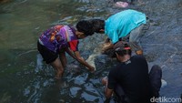 Setelah disembelih, bagian jeroan dibawa ke kali oleh sejumlah warga untuk dibersihkan dari sisa kotoran. Air mengalir di kali dianggap mempercepat proses pembersihan awal.