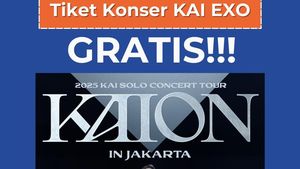 dGreatisan: Tiket Konser Kai EXO Gratis!