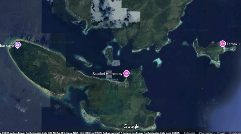 Foto Satelit Kerusakan Raja Ampat karena Tambang Nikel