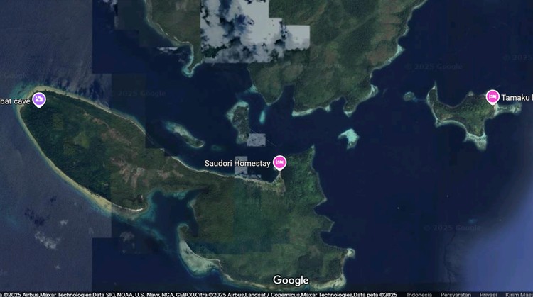 Foto Satelit Kerusakan Raja Ampat karena Tambang Nikel Foto Satelit Kerusakan Raja Ampat karena Tambang Nikel