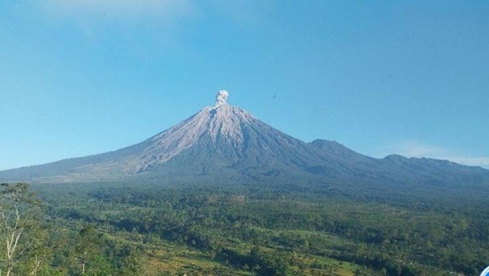 Gunung Semeru di perbatasan Kabupaten Lumajang dan Malang, Jawa Timur erupsi dengan letusan setinggi 900 meter di atas puncak pada Sabtu (7/6/2025) pagi.
