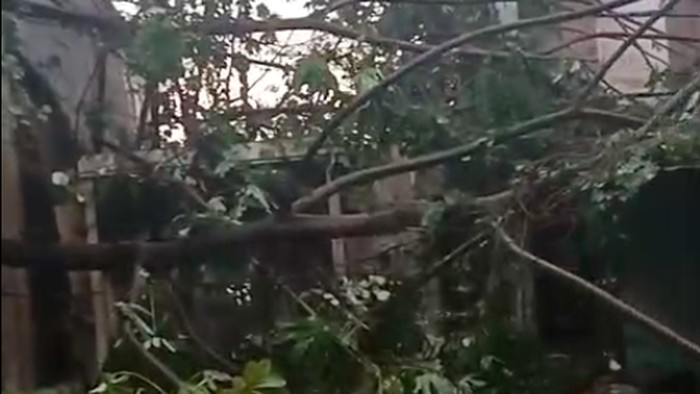 Hujan deras disertai angin kencang terjadi di Kota Depok, Jawa Barat (Jabar) pada sore tadi. Petugas pemadam kebakaran (damkar) menerima laporan terjadi 6 kejadian pohon tumbang. (dok Damkar Depok)
