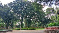Ini merupakan kawasan Taman Suropati. Banyak pepohonan rindang, ada kolam air mancur yang mulai ada permainan air pada sore hari. Kawasan ini kerap dipakai berolahraga maupun duduk santai pada sore hari. Foto: Almadinah Putri Brilian/detikcom