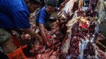Kurban Disembelih, Daging Dicek Sebelum Dibagikan