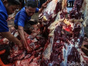 Ini yang Terjadi Jika Daging Kurban Disimpan Pakai Metode Plasma Dingin