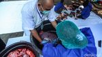 Kurban Disembelih, Daging Dicek Sebelum Dibagikan