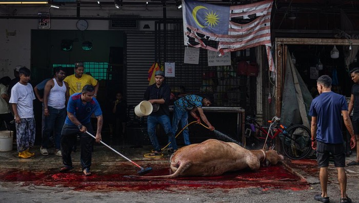 Negara-Negara Ini Rayakan Idul Adha 7 Juni 2025 SELANGOR, MALAYSIA - JUNE 07: (EDITORS NOTE: Image contains graphic content) Rohingya Muslims clean up after slaughtering a cow as a sacrificial act during Eid al-Adha on June 07, 2025 in Selangor, Malaysia. Among those participating are Rohingya refugees who, despite facing legal and social challenges, continue to uphold their cultural and religious practices in Malaysia, including the observance of Islamic festivals as part of their faith. Eid al-Adha, also known as the