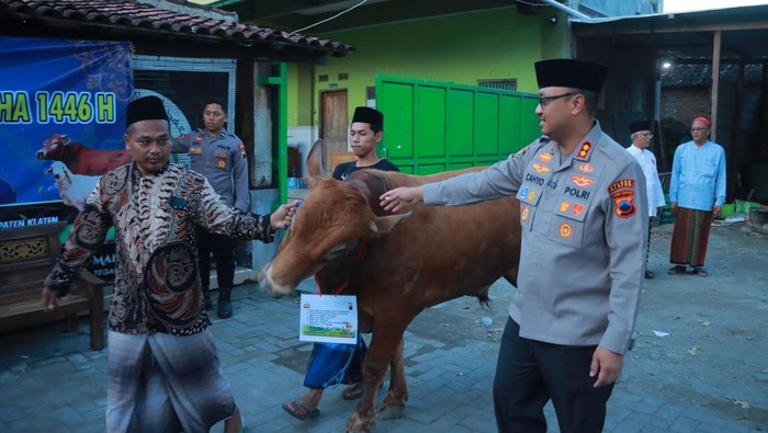 Polres Klaten ketika menyerahkan 60 hewan kurban dalam rangka Hari Raya Idul Adha, Jumat (6/6/2025).