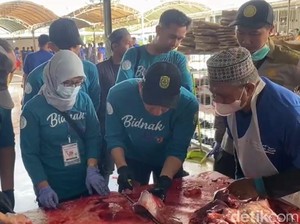 DKP3 Banjarmasin Temukan 3 Sapi Kurban Terinfeksi Cacing Hati