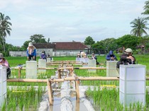 Dukung Ketahanan Pangan, Pemkab Banyuwangi Kembangkan Beras Biofortifikasi