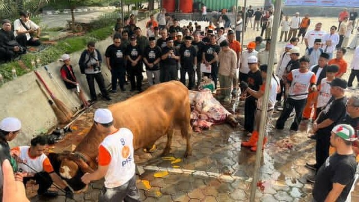 PKS sembelih ribuan hewan kurban (Rumondang/detikcom)