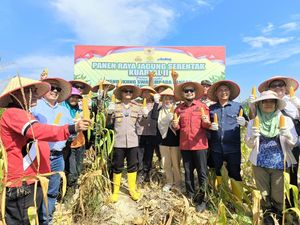 Dukung Swasembada Pangan, Polres Bengkalis Riau Panen 2 Ton Jagung
