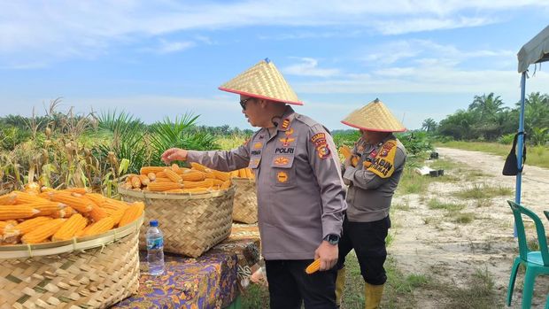Polres Bengkalis, Riau melaksanakan panen 2 ton jagung.