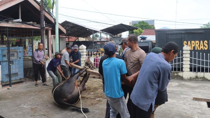 Polres Dumai, Riau menyalurkan daging kurban di Momen Idul Adha 1446 H.