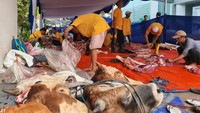 Kegiatan ini tak hanya menjadi wujud solidaritas sosial, tetapi juga mempererat hubungan antara sesama. Momentum Idul Adha dimaknai sebagai kesempatan untuk berbagi dan memperkuat nilai kebersamaan.