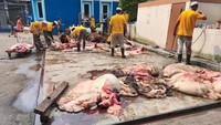 Penyaluran hewan kurban ini merupakan inisiatif dari program sosial perusahaan yang dijalankan oleh PT Jamkrindo sebagai bagian dari kepedulian terhadap masyarakat sekitar.