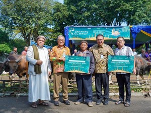 Pusri Salurkan 60 Hewan Kurban di Momen Idul Adha 2025