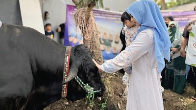 Ria Ricis dan Moana Saksikan Proses Penyembelihan Kurban Sapi Miliknya