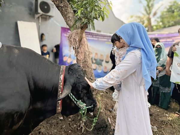 Ria Ricis dan Moana Saksikan Proses Penyembelihan Kurban Sapi Miliknya