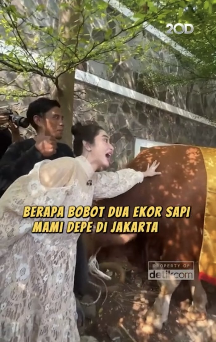 Wow! Dewi Persik Kurban 17 Ekor Sapi dan Ikut Potong Daging