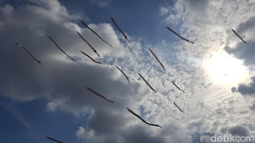 Abiantimbul Kite Festival #3 yang diadakan oleh Banjar Abiantimbul di Subak Ulun Suwi, Denpasar. Minggu (8/6/2025).