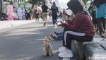 Agak Laen, Warga Bawa Bebek ke CFD Depok