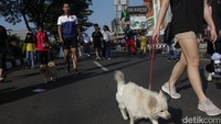 Tidak cuma bebek, ada juga warga membawa anjing peliharaan ke CFD Depok. 