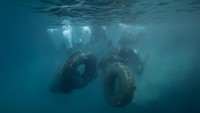 Yunani telah mengesahkan perluasan kawasan perlindungan laut hingga 30% dari perairan teritorialnya pada tahun 2030, dan telah menyerahkan rencana kepada UE yang menetapkan bagaimana negara itu akan mengatur penangkapan ikan, pariwisata, dan energi lepas pantai. Foto: REUTERS/Stelios Misinas