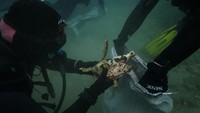 Keberadaannya telah membuat penduduk lokal dan wisatawan semakin sadar akan risiko polusi laut, kata Theodora Francis, 31 tahun, salah satu penyelam yang bergabung dalam inisiatif dua hari tersebut. Ia mengatakan pelabuhan utama Votsi, tempat sebagian besar pariwisata dan penangkapan ikan berlangsung, adalah lokasi pembuangan sampah terbanyak. Foto: REUTERS/Stelios Misinas