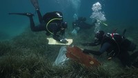Taman tersebut, yang didirikan di lepas pantai Alonissos pada awal tahun 1990-an, merupakan rumah bagi salah satu koloni anjing laut Monk yang tersisa di dunia, dan tempat perlindungan bagi lebih dari 300 spesies ikan, lumba-lumba, dan penyu laut. Foto: REUTERS/Stelios Misinas