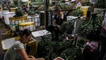 Detak Ekonomi Pasar Grosir Legendaris Hanoi
