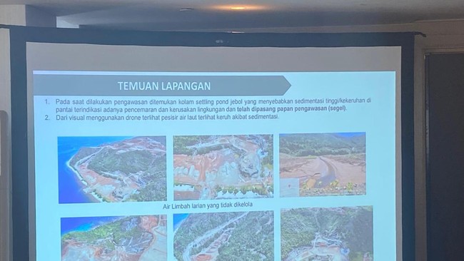 5 Temuan Kementerian LH soal Aktivitas Tambang di Raja Ampat