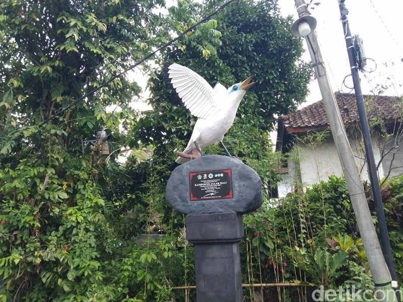 Kampung Jalak Bali di Banjar Tingkihkerep, Desa Tengkudak, Kecamatan Penebel, Kabupaten Tabanan, Bali, Minggu (8/6/2025). (I Dewa Made Krisna Pradipta)