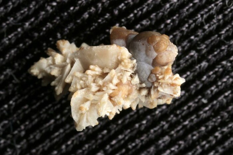 Kondisi Tubuh yang Mengejutkan