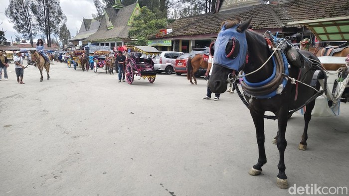 Menaiki kuda menjadi salah satu cara menikmati wisata di Berastagi, Karo