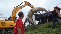 Anggota pemadam kebakaran bekerja untuk mengeluarkan paus mati dari pantai Barra da Tijuca menggunakan alat berat. Foto: REUTERS/Tita Barros