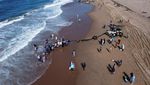 Potret Nelayan Serbu Pantai Saat Laut Durban Panen Sarden