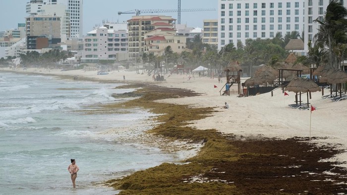 A tourist stands in the water at a beach covered with sargassum seaweed during its season, in Cancun, Mexico June 4, 2025. REUTERS/Paola Chiomante