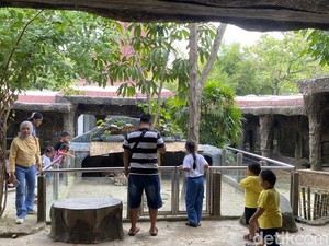 Cerita Warga Asal Semarang Pertama Kalinya Main ke Semarang Zoo