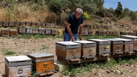 Peternakan yang terletak di lembah yang indah dekat Laut Aegea, peternak lebah Huseyin Ceylan membantu orang-orang pulih dari penyakit dengan meminta mereka menghirup udara dari sarang lebah. Foto: REUTERS/Umit Bektas