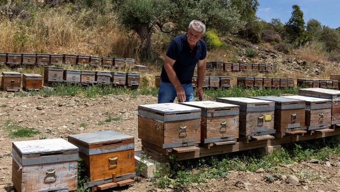 Senay Ilhan, Tenzile Kilic and Ulku Ozman breath in air from beehives through ventilators in hopes of recovering from ailments at a facility owned by beekeeper Huseyin Ceylan in Karaburun, located in Turkey's Aegean coastal province of Izmir, Turkey, May 22, 2025. REUTERS/Umit Bektas
