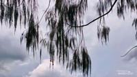 Pemandangan menakjubkan seperti ini bisa kamu dapatkan, Bahkan terkadang, pelangi muncul menyapa.