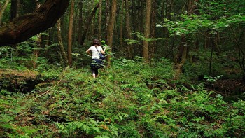 Hutan Aokigahara memang tampak menenangkan. Namun kenyataannya hutan yang terletak di kaki Gunung Fuji, Jepang, ini memiliki sejarah yang sangat menyedihkan. Dikenal juga sebagai Hutan Bunuh Diri, Aokigahara adalah lokasi kedua yang paling sering terjadi kasus bunuh diri di dunia (setelah Jempatan Golden Gate). Foto: Wikipedia