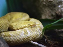 10 Tempat Paling Mengerikan di Bumi, Kamu Berani Ke sini?