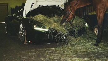 Ada aja ya, mobil sekeren itu malah dipakai untuk tempat makan kuda. Foto: Bored Panda