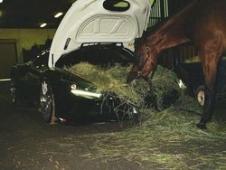 Ada Saja Kelakuan Konyol orang-orang di Internet, Cek Deh