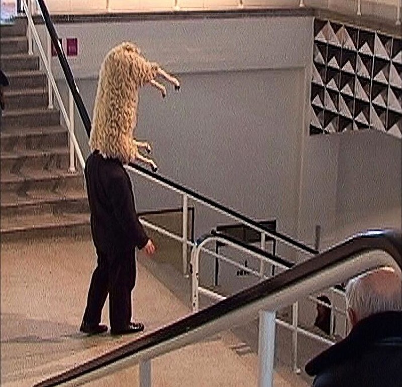 Orang-orang ini melakukan beragam hal konyol dan mengunggahnya di internet. Cdek deh sekarang.