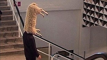 Bingung sih, ini nyebutnya dia lagi pakai topeng atau topi. Foto: Bored Panda